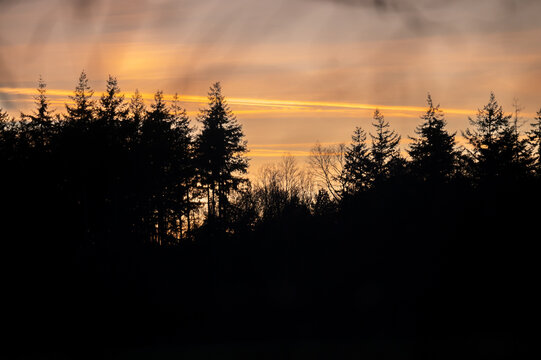 beatifull sunset near the nature reserver the Maashorst in the Netherlands.