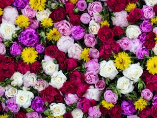  Flowers Of Valentine's Day
