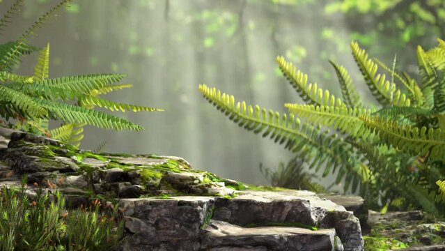 3D animation and rendering podium stage rock in the forest with plants around.