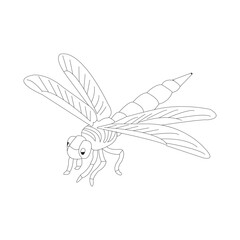 dragonfly icon