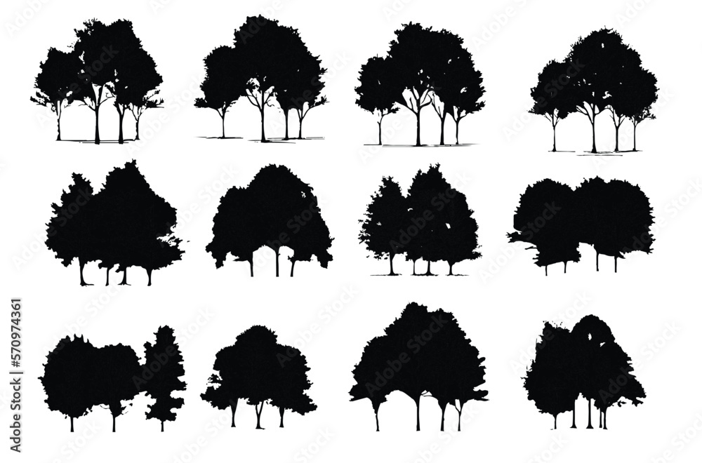 Wall mural set of trees silhouettes, group of trees line drawing, side view, set of graphics trees elements out - Wall murals