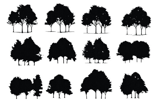 set of trees silhouettes, Group of trees line drawing, Side view, set of graphics trees elements outline symbol for architecture and landscape design drawing. Vector illustration.