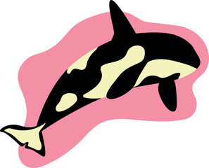 Killer whale isolated illustration, cute whale on pink spot on white background, Sea life vector