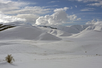 snow covered mountains
