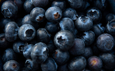 blueberries 