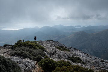 Goat standing at the edge of the Galatzo peak in Mallorca