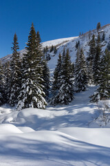 Winter view of Rila Mountain near Malyovitsa peak, Bulgaria