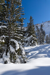 Winter view of Rila Mountain near Malyovitsa peak, Bulgaria