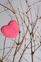 A pink heart rests between the dry branches of a tree. The concept of Valentine's Day.Sadness.A lost heart.Loneliness.Pain.State of mind.Vertical photo