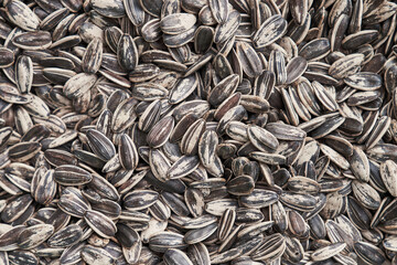 Beautiful sunflower seeds image