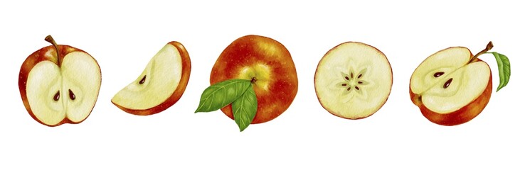 Set of watercolor red apples and pieces of juicy fruit.