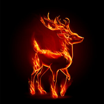 Concept Image with Realistic Fire Flames Effect on Black Background