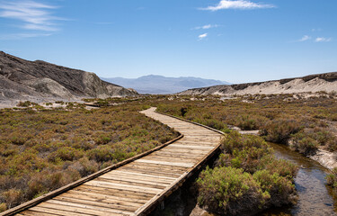 Fototapeta na wymiar Salt Creek Interpretive Trail in Death Valley NP