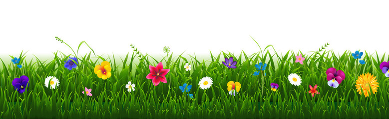 Flowers And Grass Frame Isolated White Background