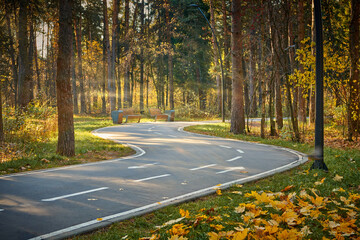 Asphalt footpath in fall park with gold fallen leaves. Sunny day in autumn forest at national park with curvy roadway. Road in forest. Scenic fall landscape of road through the park.