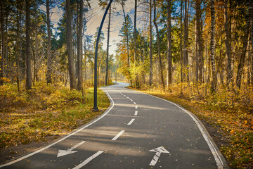 Asphalt footpath in fall park with gold fallen leaves. Sunny day in autumn forest at national park with curvy roadway. Road in forest. Scenic fall landscape of road through the park.