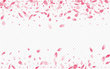 Fototapeta na wymiar White Lotus Vector Transparent Background. Peach