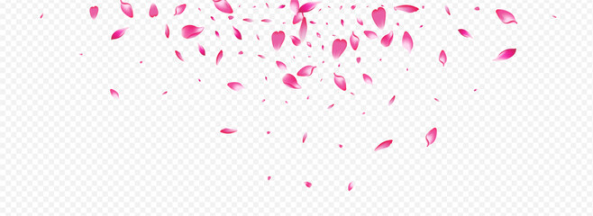 Color Apple Vector Panoramic Transparent