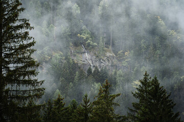 Moody atmosphere during a rainy and foggy day in the forest of Val di Genova, Trentino Alto Adige, Northern Italy