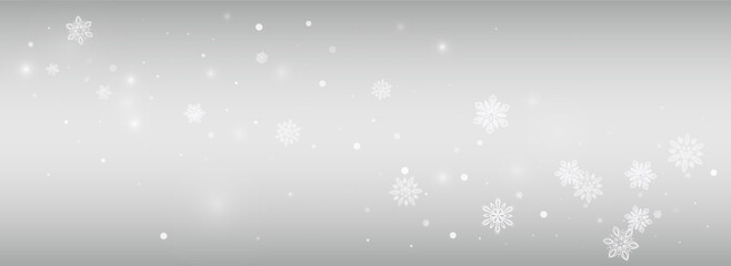 Gray Snowflake Vector Silver Panoramic