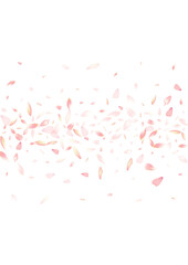 Pastel Peach Petal Vector White Background.