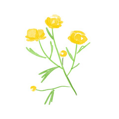 Yellow flowers on a white background. Sketch. Hand drawn.