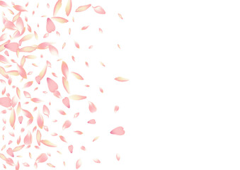 Purple Rose Petal Vector White Background. Pink