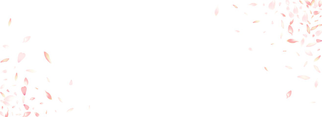 Transparent Peach Petal Vector Panoramic