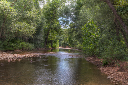 Missouri Ozark Stream.  A small Ozark stream in rural Wayne County, Missouri. Lush green trees cover the rocky stream with patches of sunlight reaching the stream surface. 