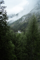 Fototapeta na wymiar Moody atmosphere during a rainy and foggy day in the forest of Val di Genova, Trentino Alto Adige, Northern Italy