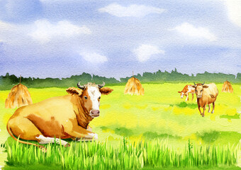 Watercolor landscape with cows and haystacks, summer field, blue sky with clouds, hand-drawn sketch, illustration