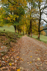 Hiking trail in the Allgäu mountains at autumn time.