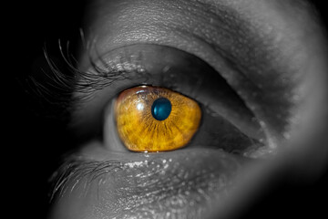 Detail of a human brown amber eye, visible iris, woman, colours, flash