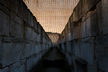 Fototapety na wymiar - Fototapeta24.pl