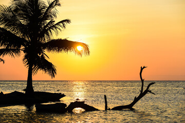 Obraz na płótnie Canvas Tropical sunshine