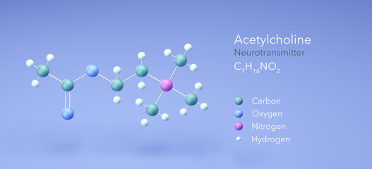 acetylcholine molecule, molecular structures, Neurotransmitter, 3d model, Structural Chemical Formula and Atoms with Color Coding
