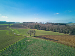 Aerial drone view from above of field, trees and a forest and farmland in winter time with clear blue sky