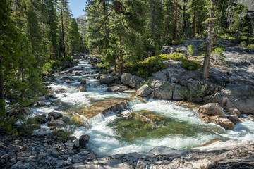 Pine Trees Flank the Tuolumne River as it Cascades Down Layers of Rock