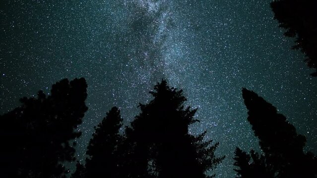 Sequoia National Park Milky Way Galaxy and Perseid Meteor Shower in North Sky Sierra Nevada Mountains California USA