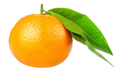 One tangerine fruit with leaves cut out