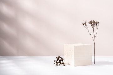Wooden cube podium with dry plant on light beige background. Minimal wooden stand for branding and packaging presentation