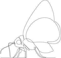 Simple continuous line drawing of a beautiful butterfly. Minimalist Animals concept, simple line, vector illustration, black and white design.