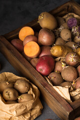 Different varieties of potatoes in a wooden box for sprouting
