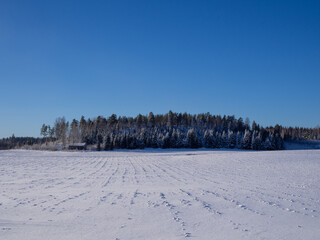 Fototapeta na wymiar Snowy field and forest in Finland
