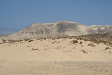 Dunes of the Sotavento Beach in Jandia, Fuerteventura