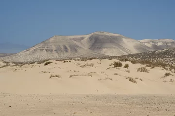 Plaid avec motif Plage de Sotavento, Fuerteventura, Îles Canaries Dunes of the Sotavento Beach in Jandia, Fuerteventura