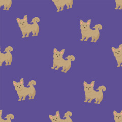 Obraz premium Bichon frise Teacup seamless pattern. Different coat colors and poses set. Vector illustration