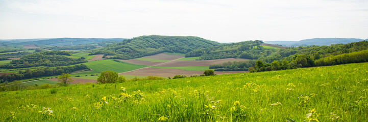 Fototapeta premium green spring landscape panorama grass