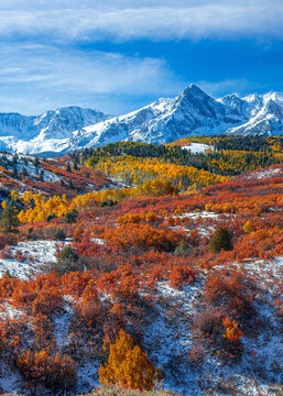 Aspens, Autumn Snow, Mears Peak