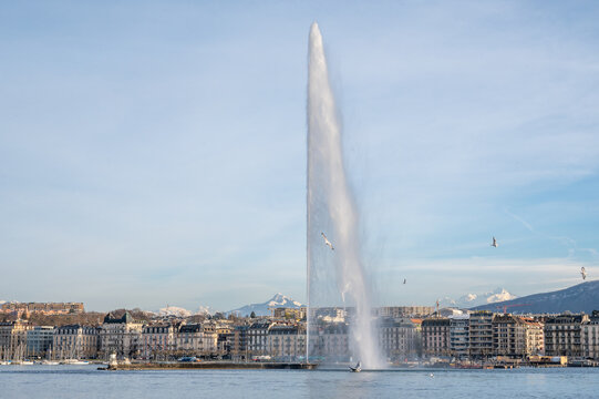 la rade de Gen&egrave;ve et son jet d'eau